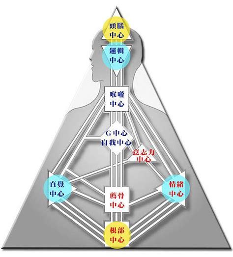 九大能量|人類圖免費分析》9大能量中心、通道閘門代表什麼意。